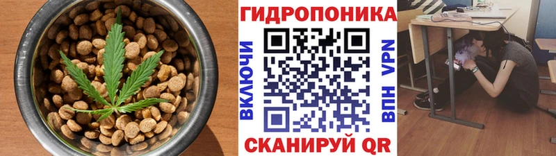 blacksprut ссылки  Няндома  Cannafood марихуана 