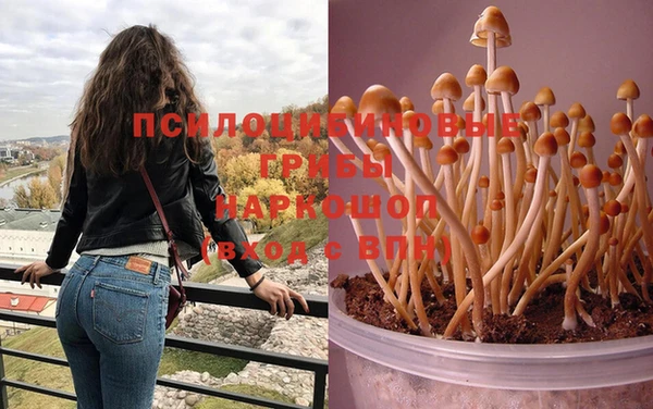прущий лед Богданович
